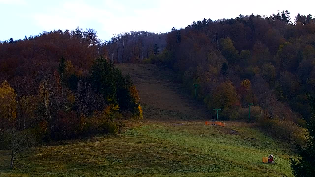 Webcam Lokve – La beauté de la forêt de Trnovo
