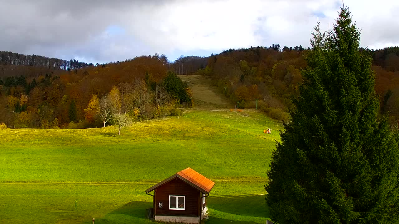 Webcam Lokve – La beauté de la forêt de Trnovo