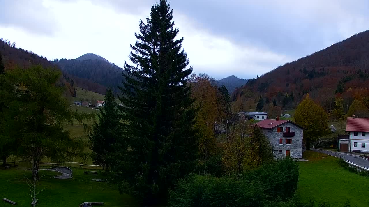 Webcam Lokve – La beauté de la forêt de Trnovo