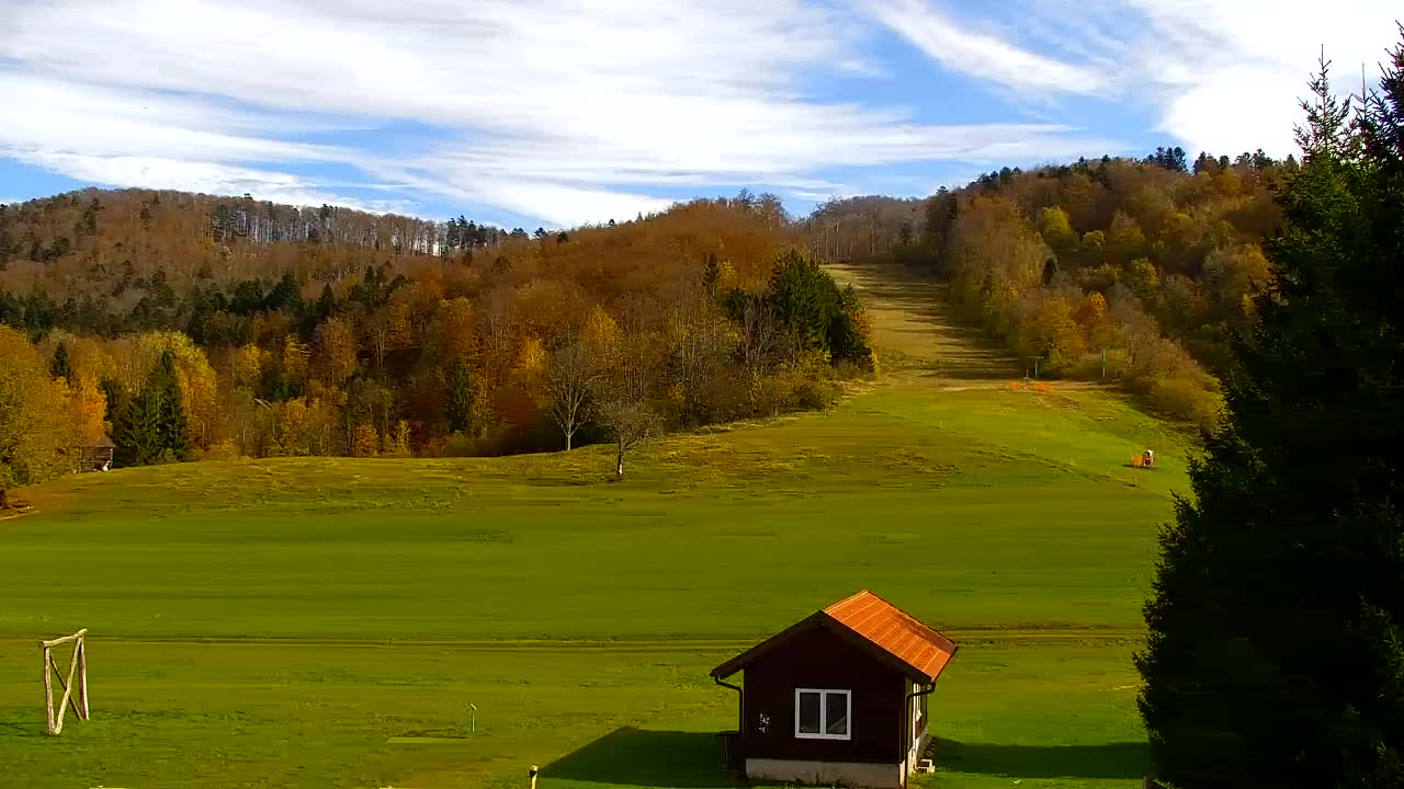 Webcam Loqua / Lokve – La bellezza della selva di Tarnova