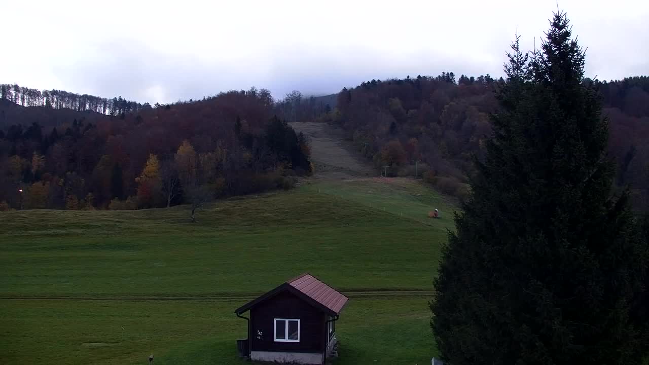 Webcam Lokve – La beauté de la forêt de Trnovo