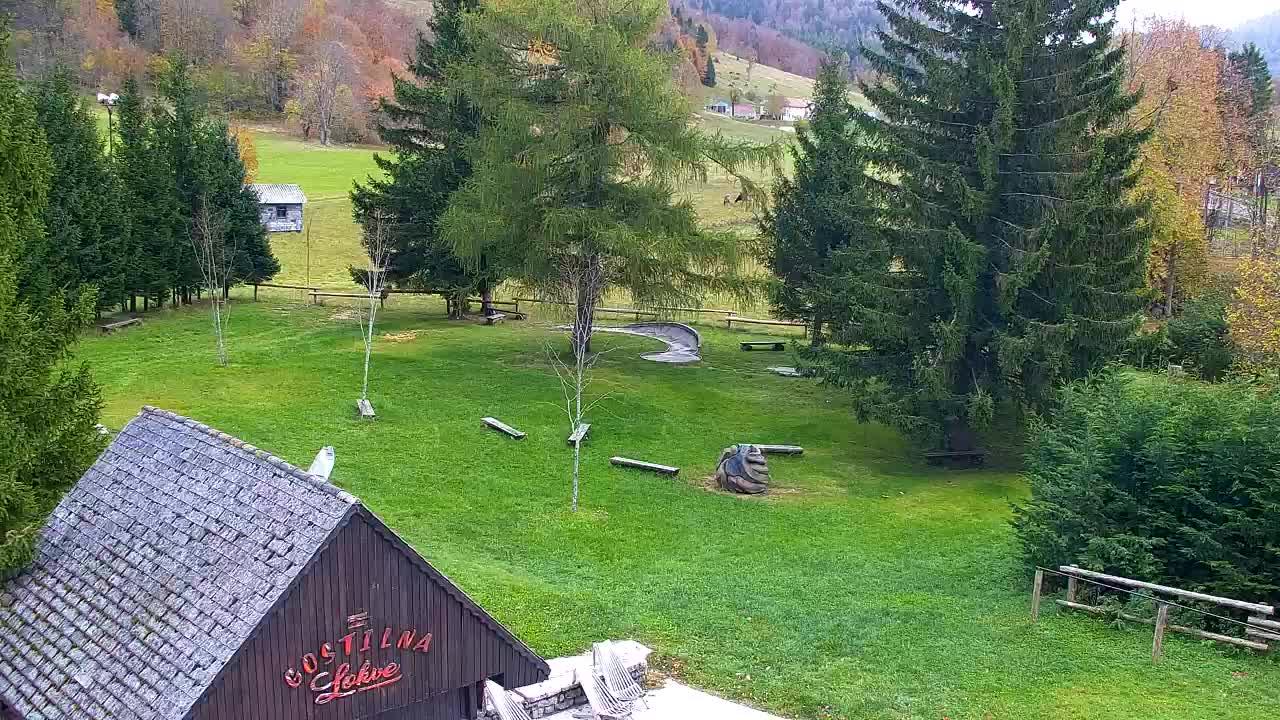 Webcam Loqua / Lokve – La bellezza della selva di Tarnova