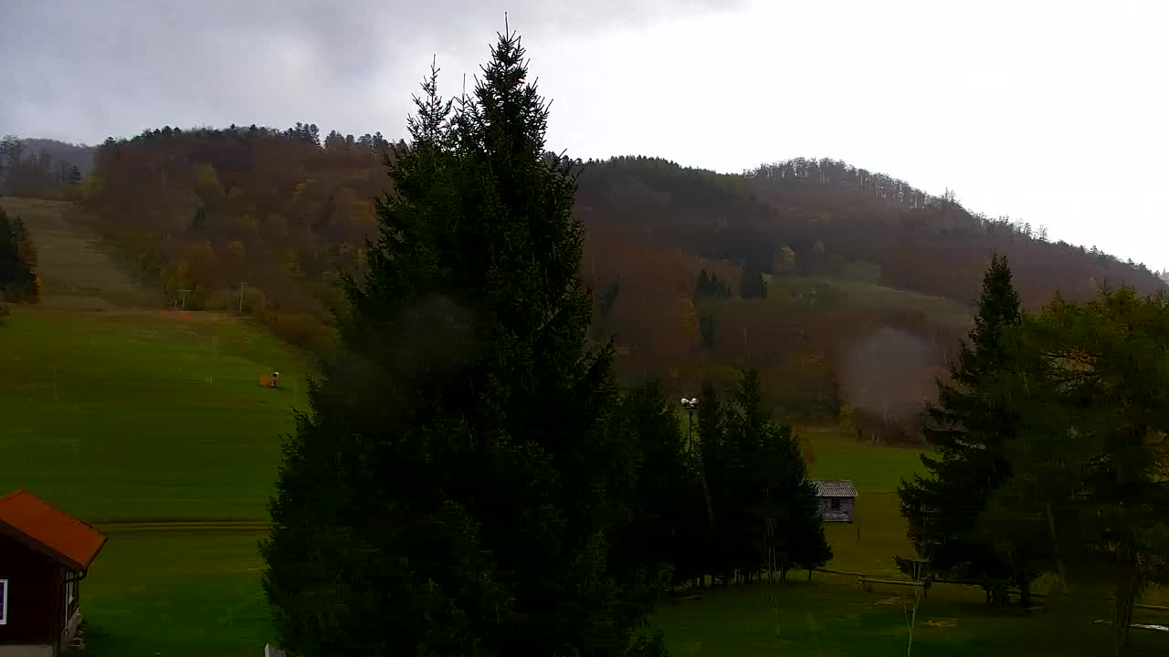 Webcam Lokve – The beauty of the Trnovo forest