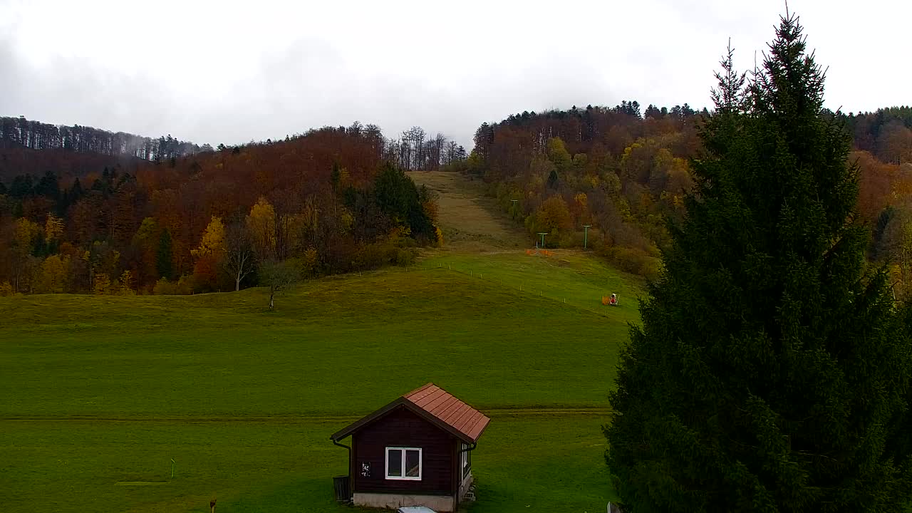 Webcam Loqua / Lokve – La bellezza della selva di Tarnova