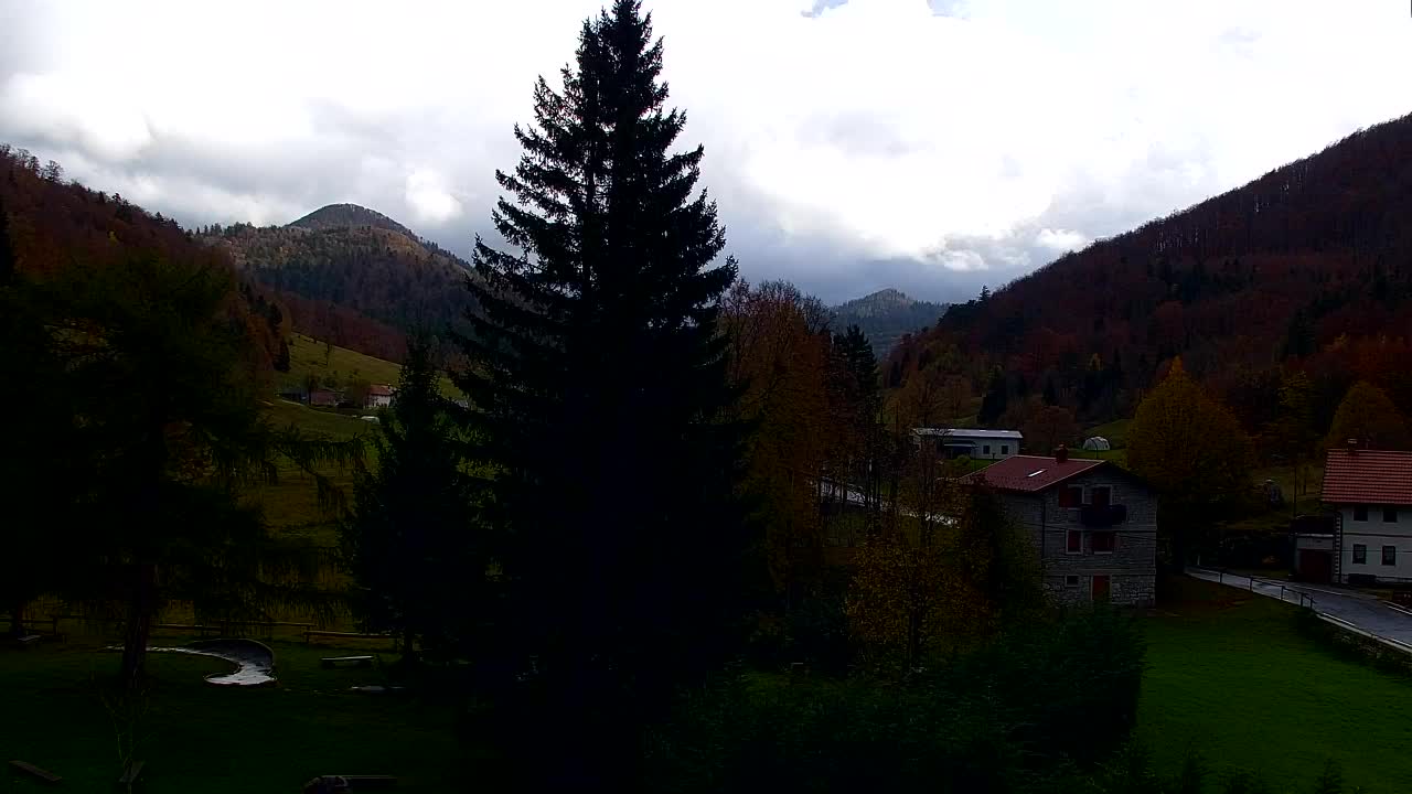 Webcam Loqua / Lokve – La bellezza della selva di Tarnova