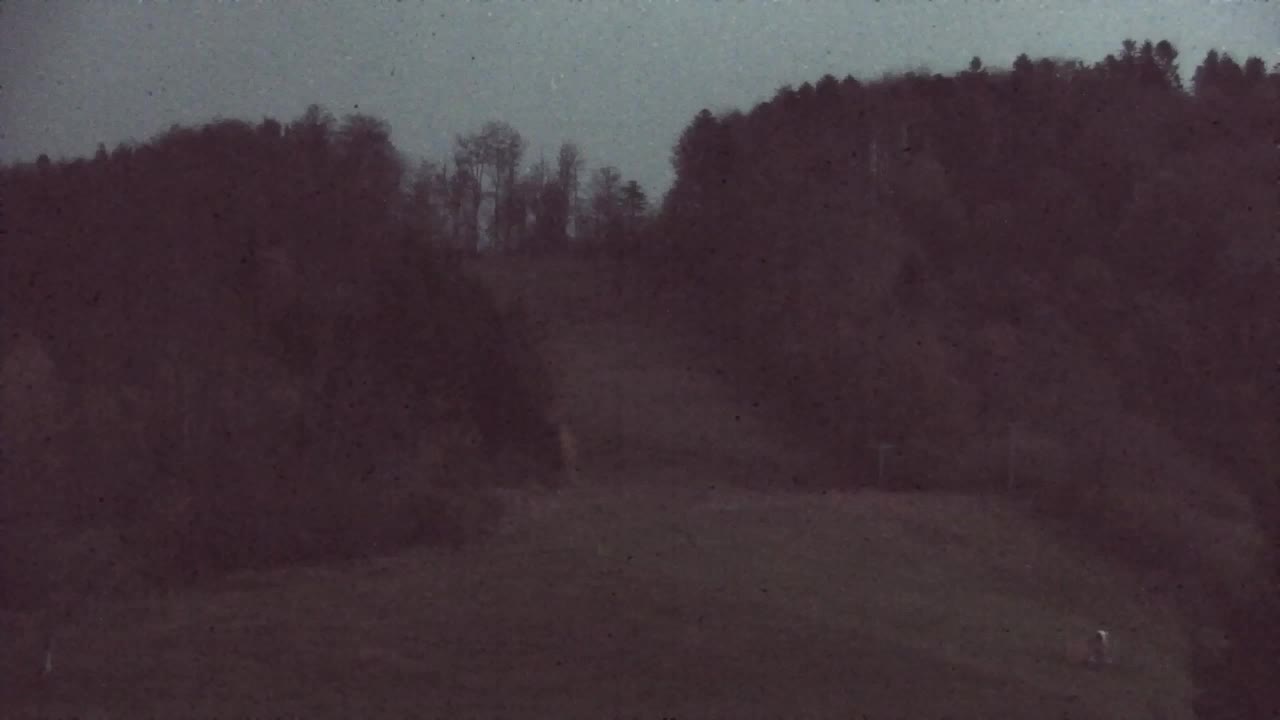 Webcam Lokve – La beauté de la forêt de Trnovo