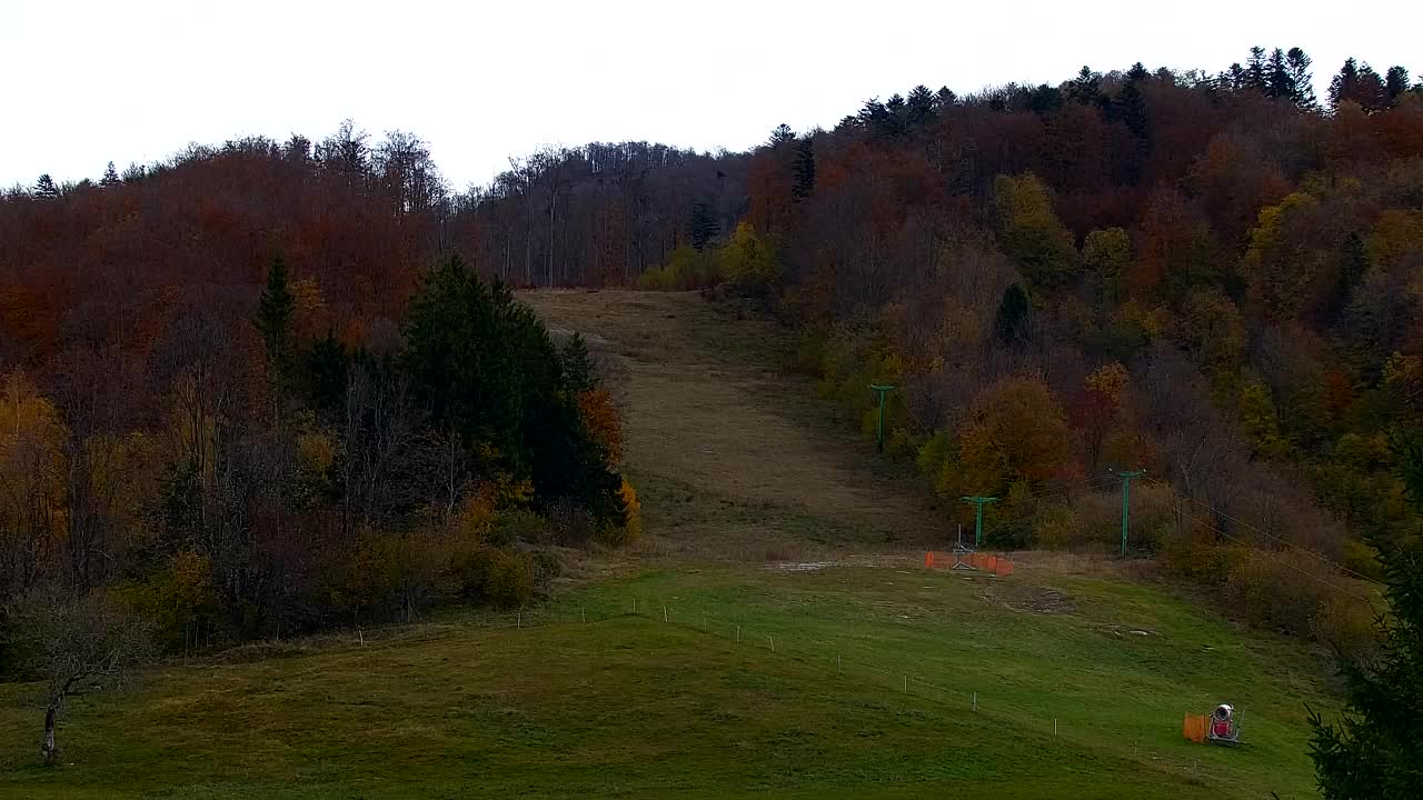 Webcam Lokve – The beauty of the Trnovo forest