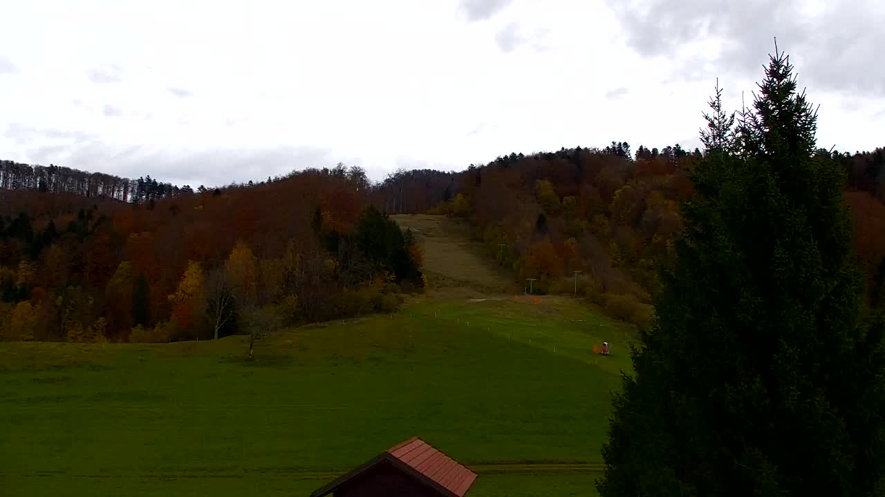 Webcam Lokve – Die Schönheit des Trnovo-Waldes