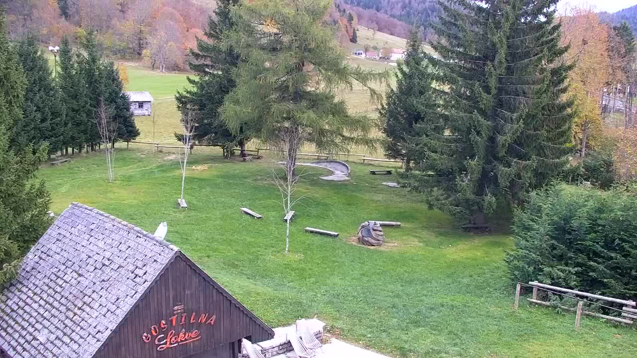 Webcam Lokve – The beauty of the Trnovo forest