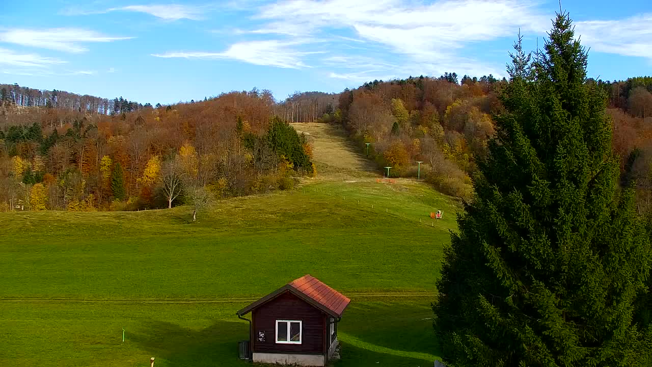 Webcam Loqua / Lokve – La bellezza della selva di Tarnova