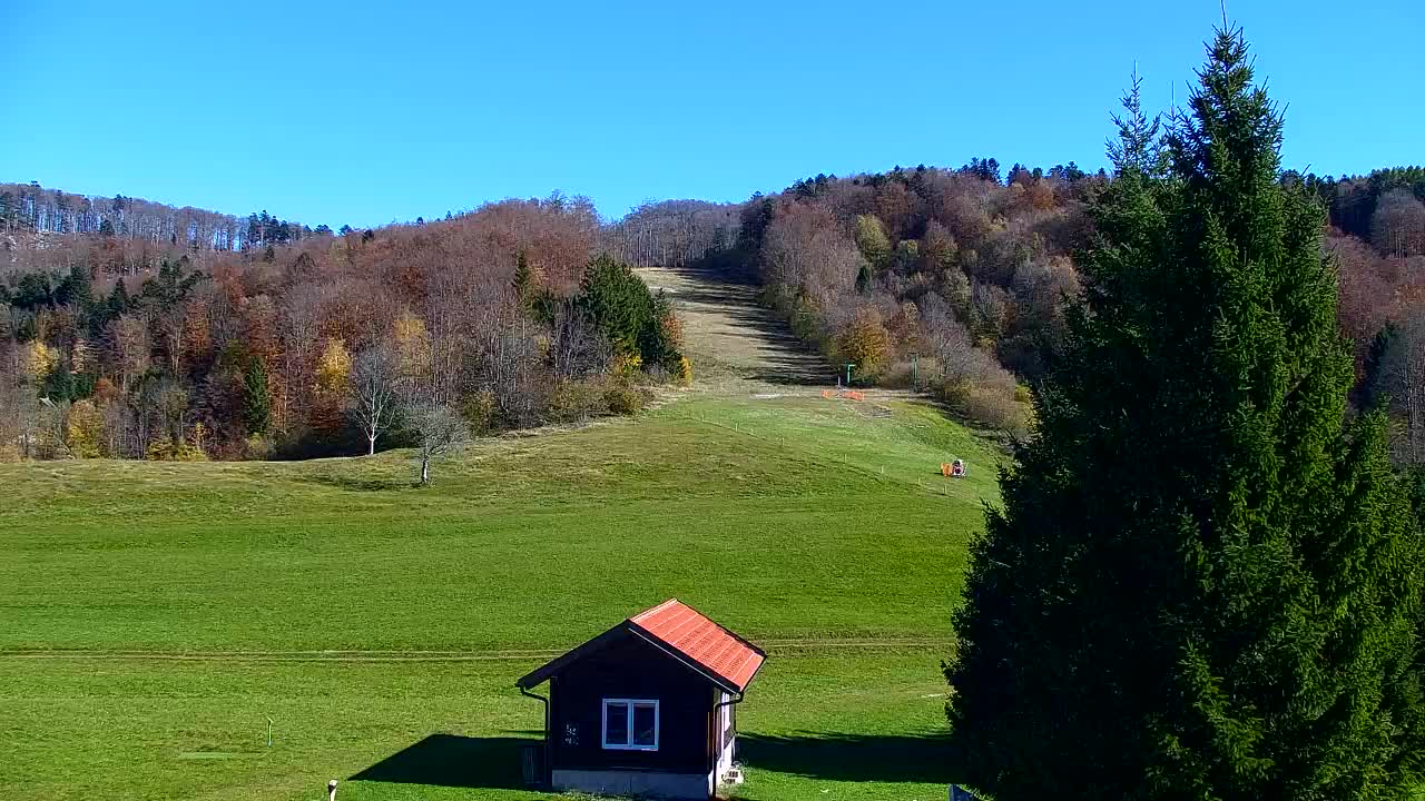Webcam Lokve – The beauty of the Trnovo forest