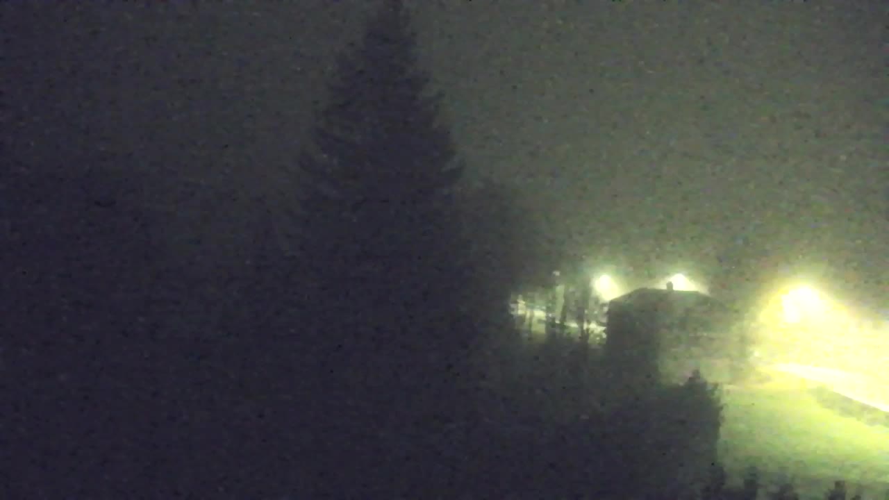 Lokve kamera – Naravne lepote Trnovskega gozda