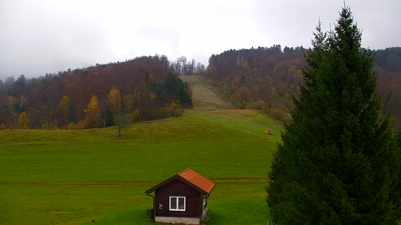 Webcam Lokve – Die Schönheit des Trnovo-Waldes