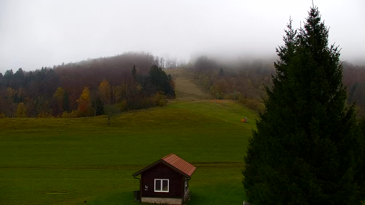Webcam Lokve – La beauté de la forêt de Trnovo