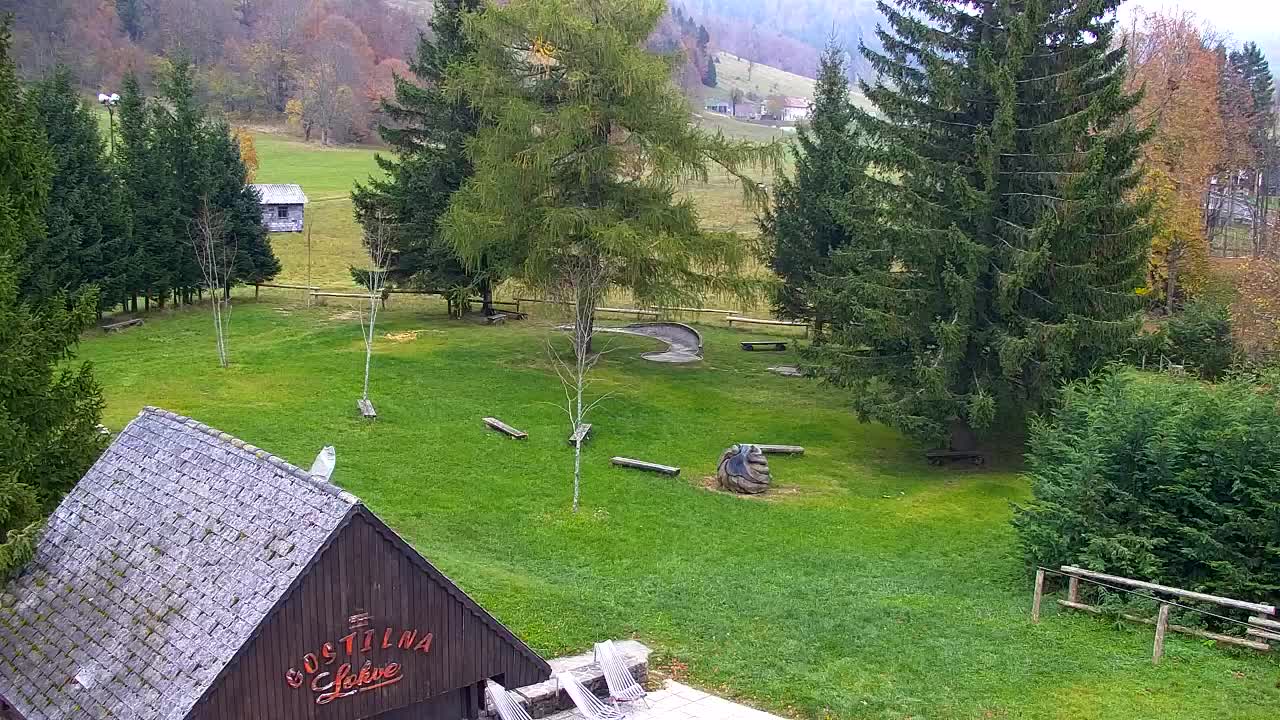 Webcam Lokve – La beauté de la forêt de Trnovo