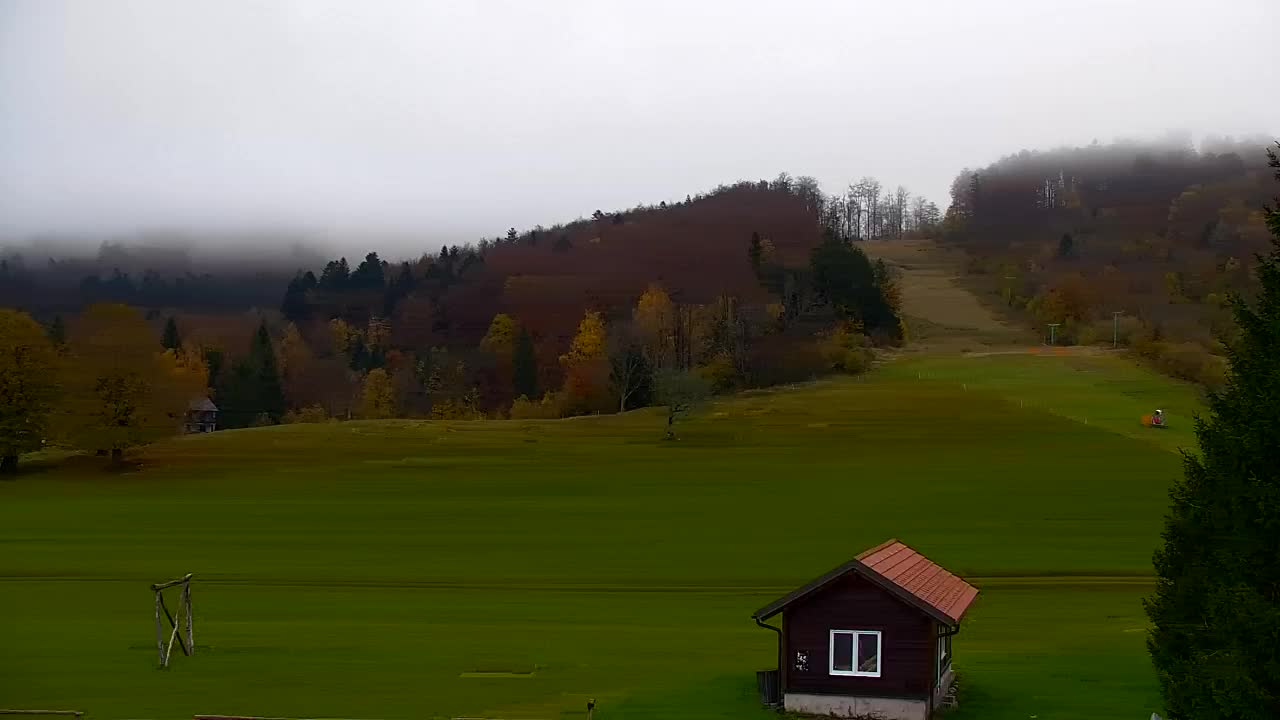 Webcam Lokve – The beauty of the Trnovo forest