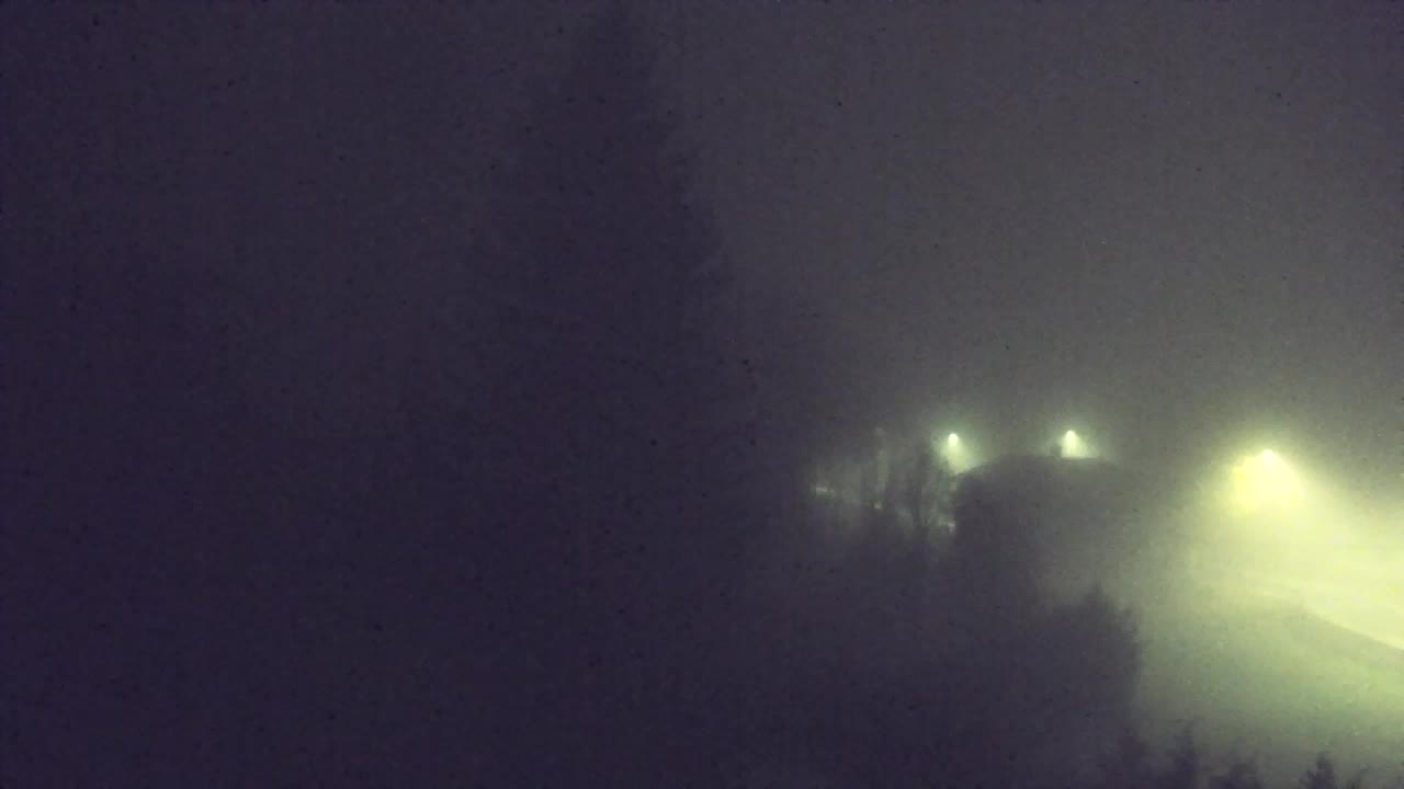 Webcam Lokve – Die Schönheit des Trnovo-Waldes