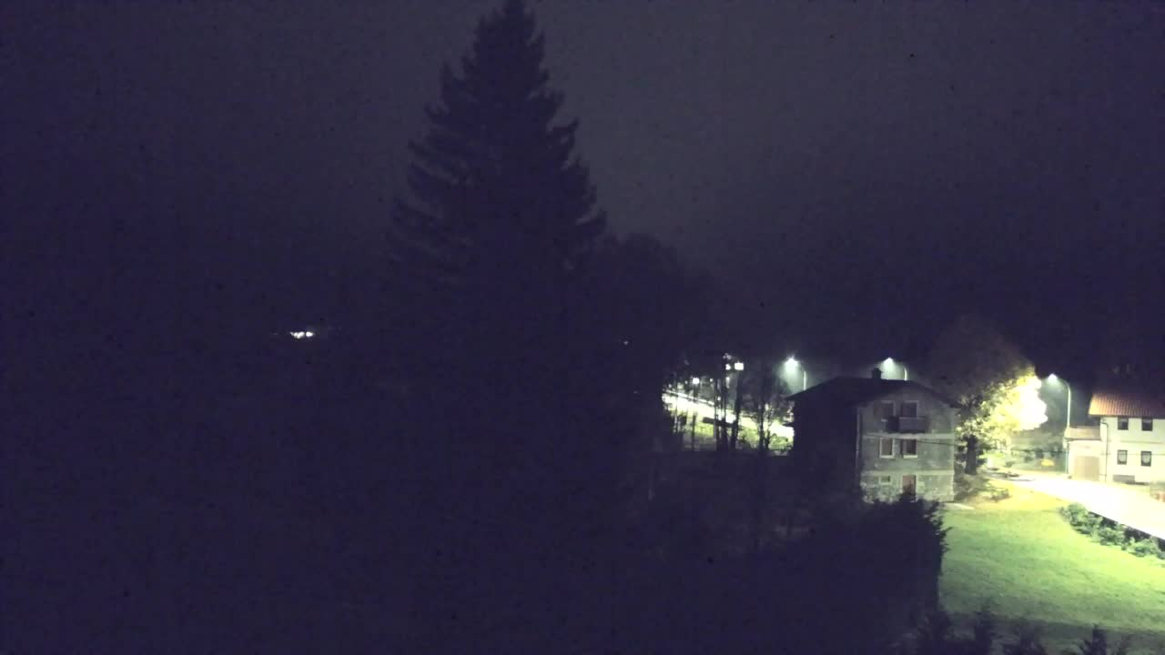 Webcam Lokve – The beauty of the Trnovo forest