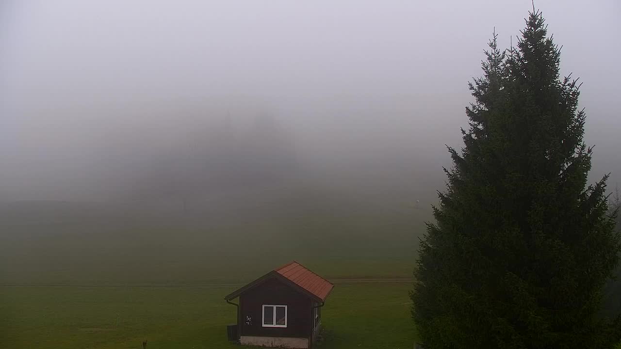 Lokve kamera – Naravne lepote Trnovskega gozda