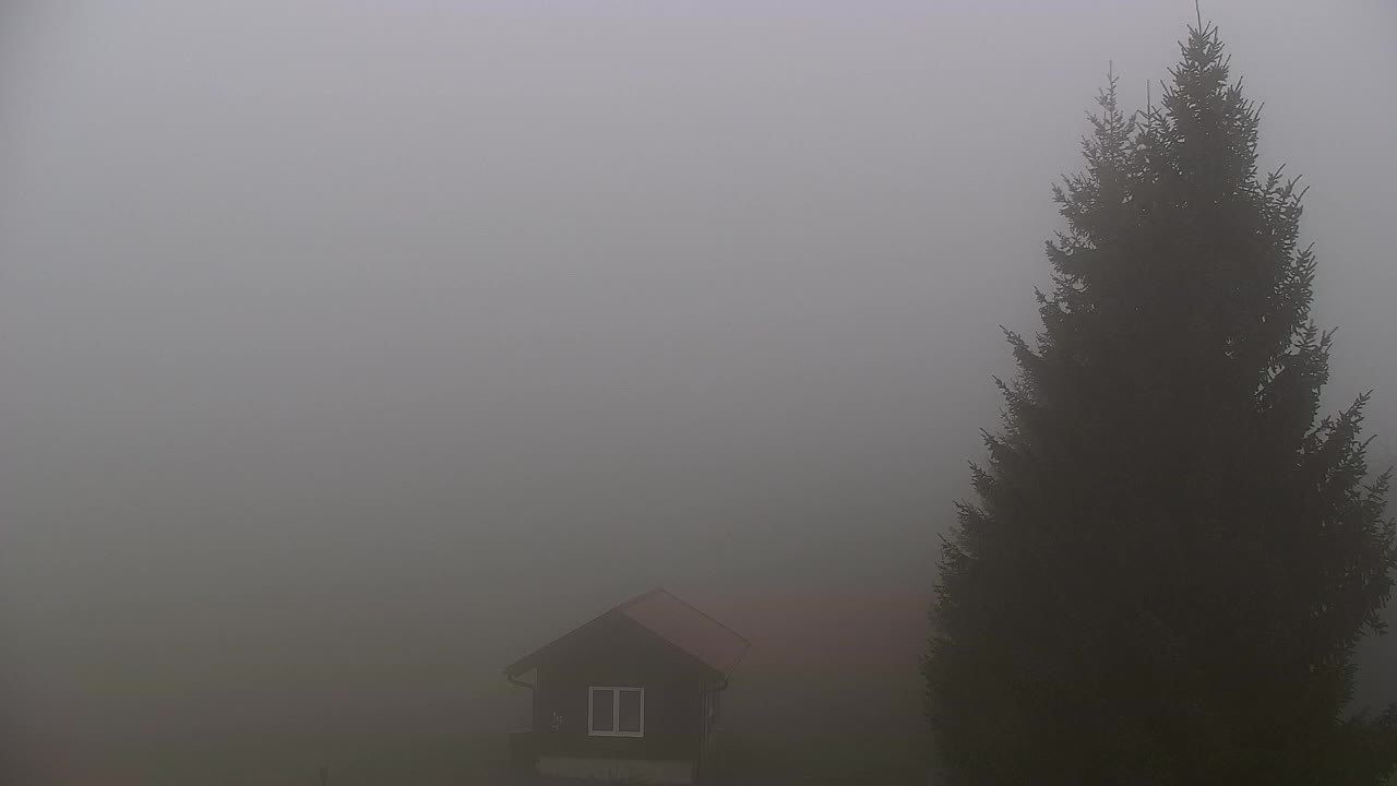 Webcam Lokve – Die Schönheit des Trnovo-Waldes