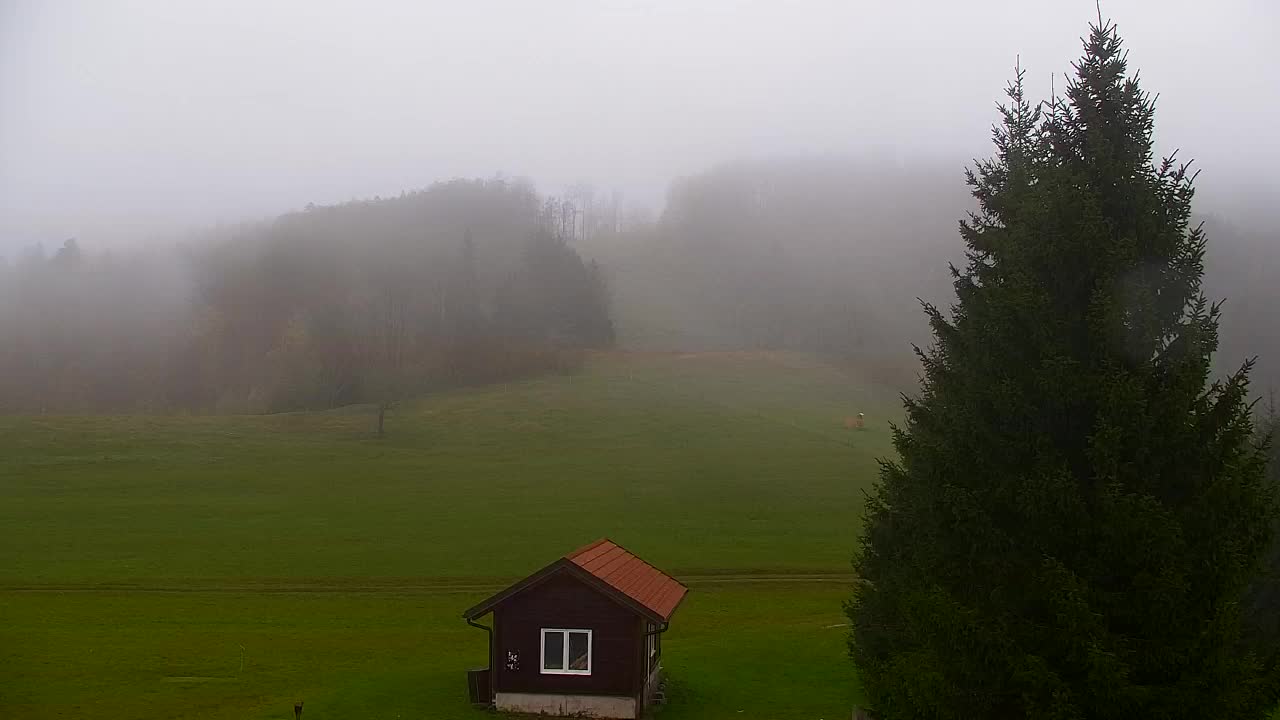 Webcam Loqua / Lokve – La bellezza della selva di Tarnova