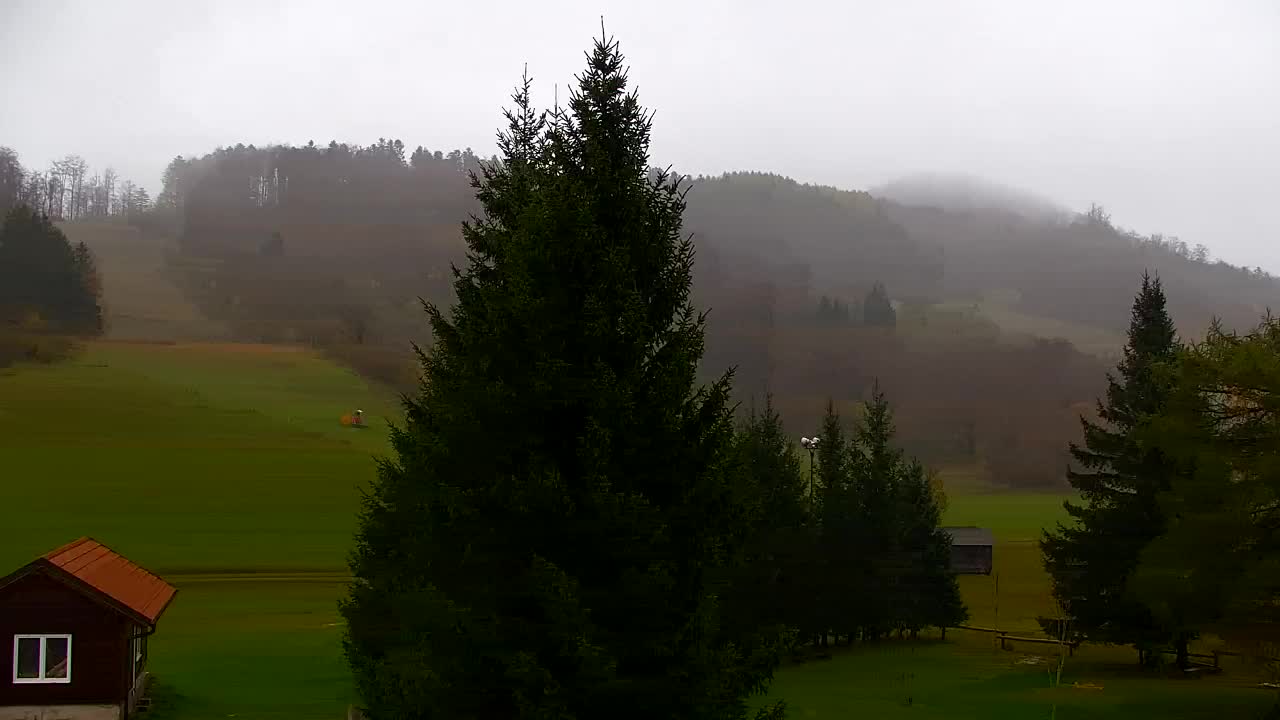 Webcam Lokve – Die Schönheit des Trnovo-Waldes