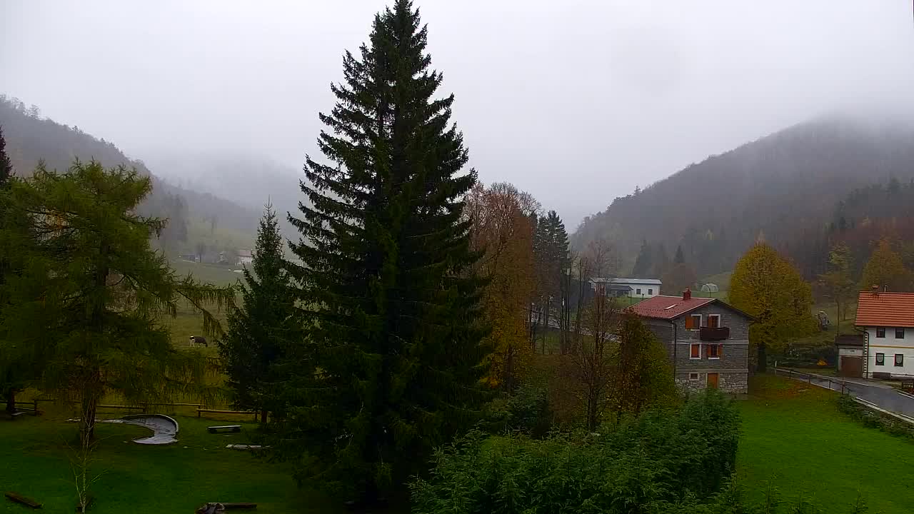 Webcam Loqua / Lokve – La bellezza della selva di Tarnova