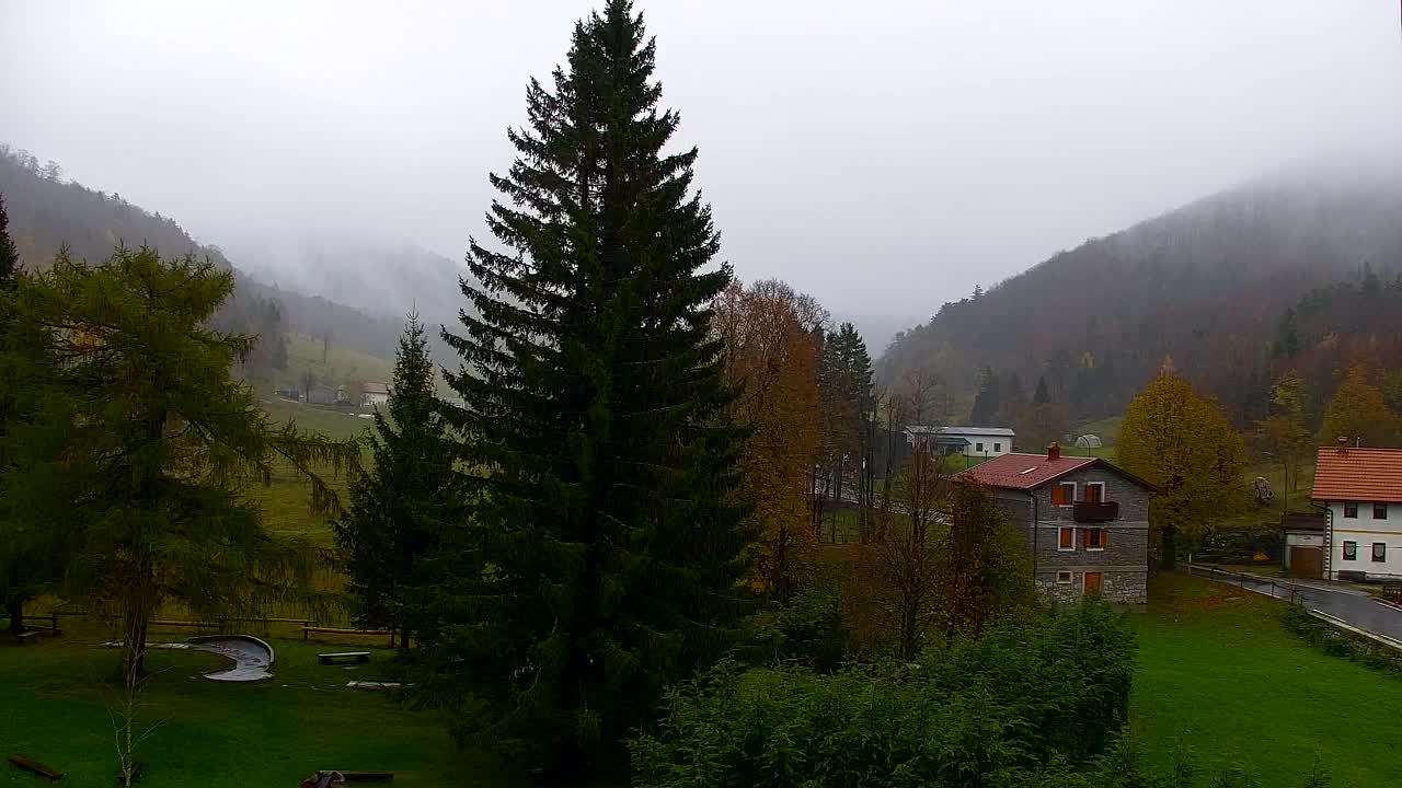 Webcam Lokve – Die Schönheit des Trnovo-Waldes