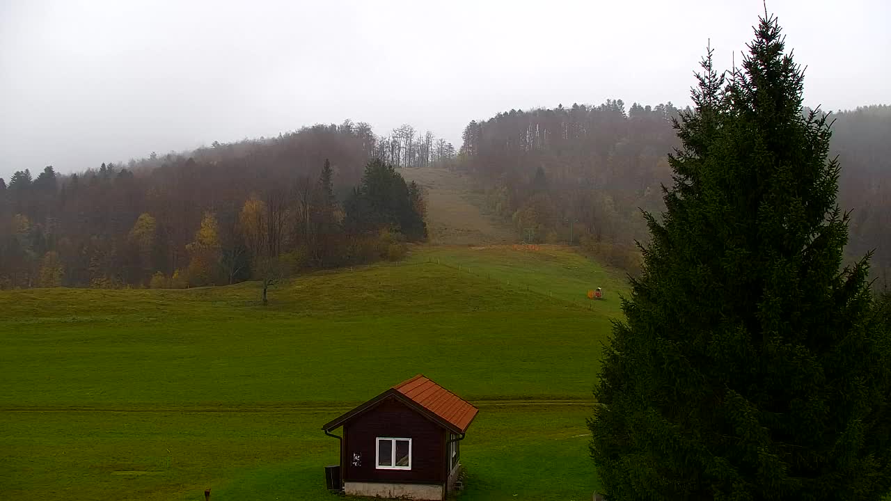 Webcam Lokve – Die Schönheit des Trnovo-Waldes