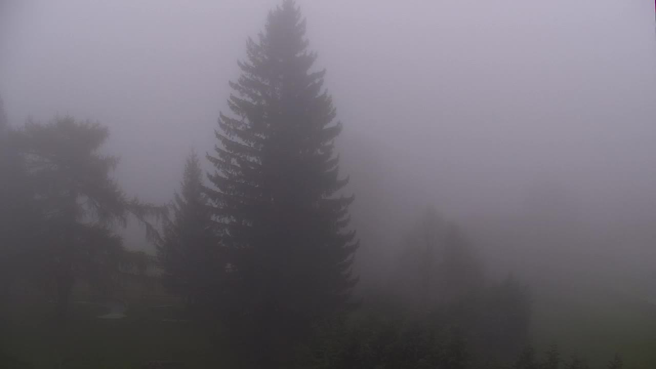 Camera en vivo Lokve – La belleza del bosque de Trnovo