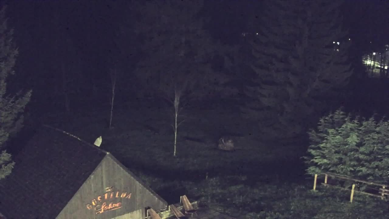 Webcam Loqua / Lokve – La bellezza della selva di Tarnova