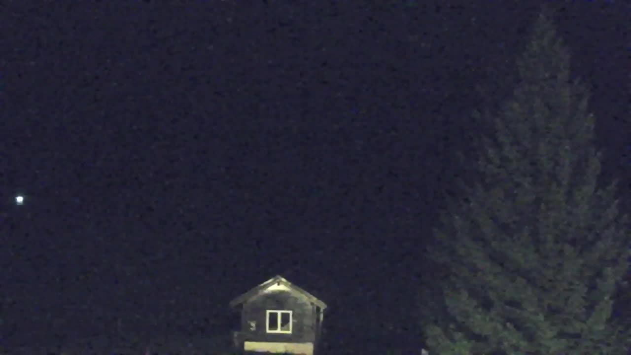 Web kamera Lokve – Ljepota Trnovske šume