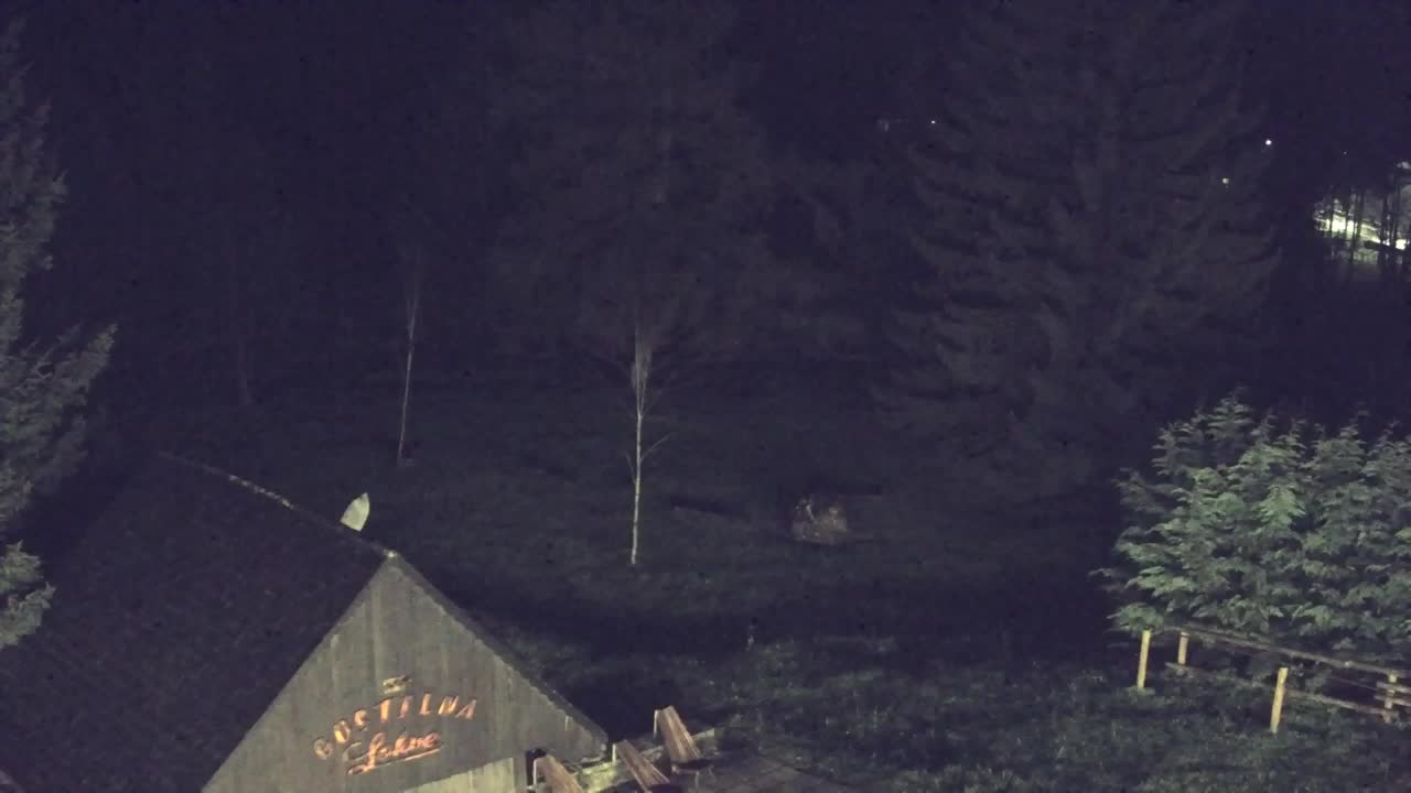 Camera en vivo Lokve – La belleza del bosque de Trnovo