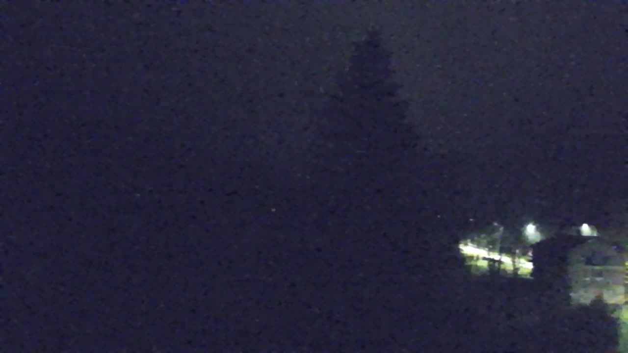 Web kamera Lokve – Ljepota Trnovske šume