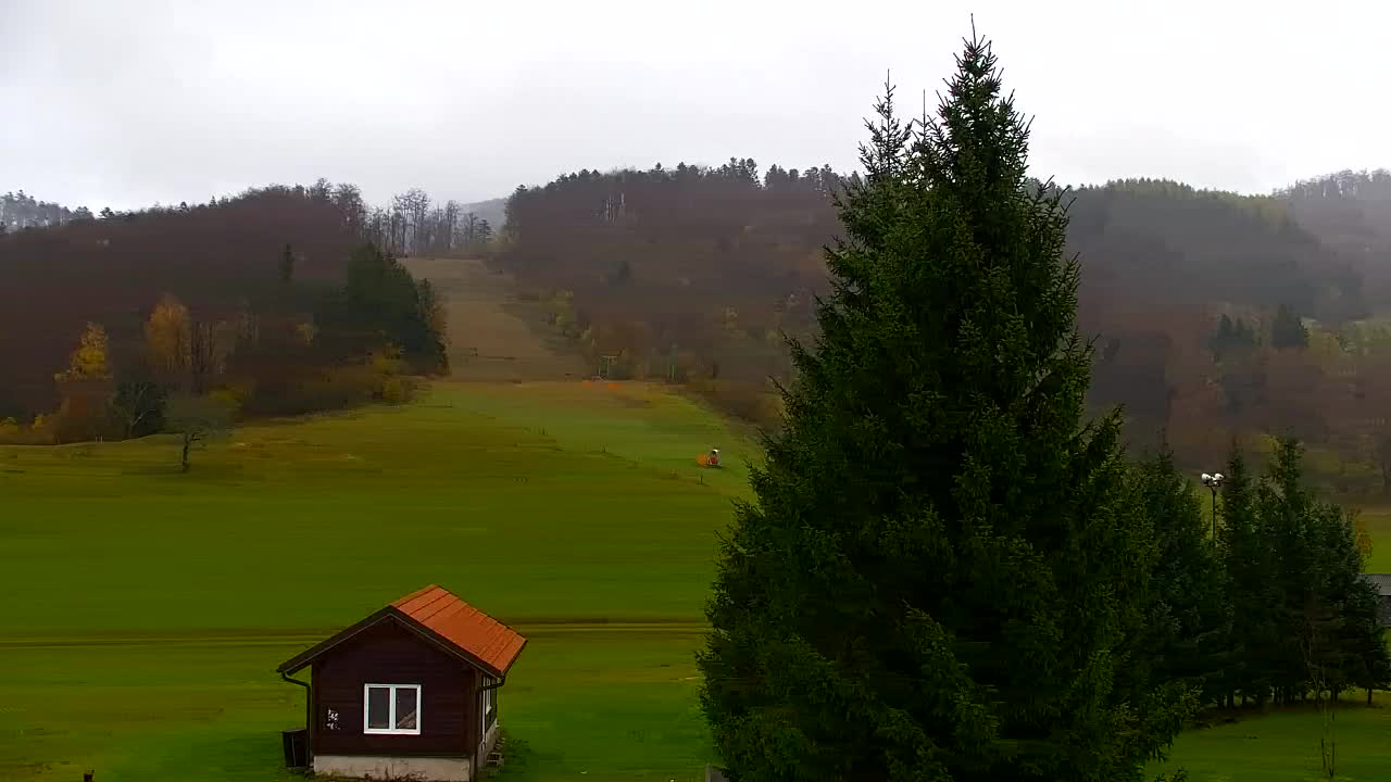 Webcam Lokve – The beauty of the Trnovo forest