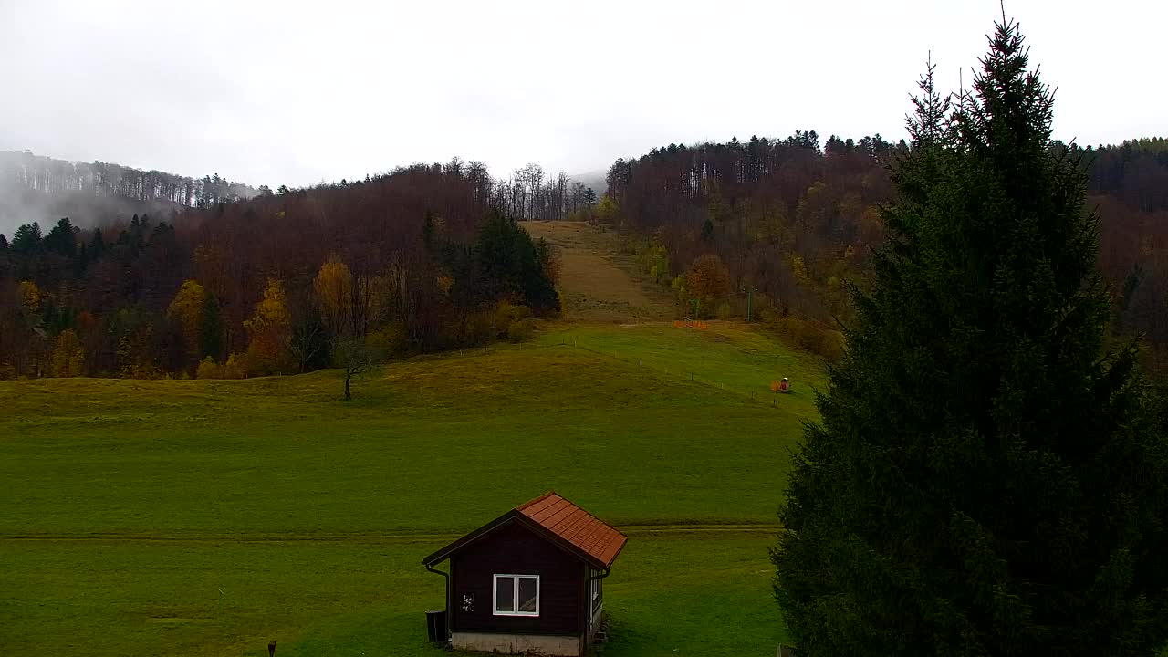 Webcam Lokve – Die Schönheit des Trnovo-Waldes