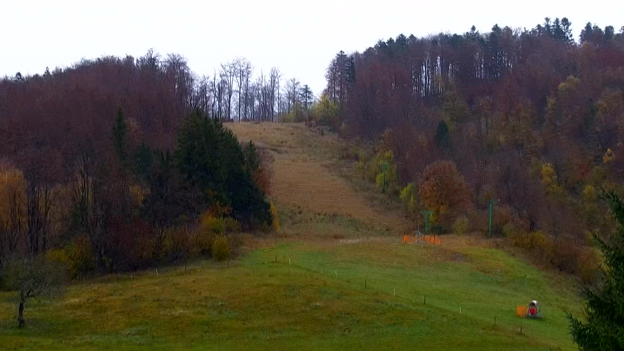 Webcam Loqua / Lokve – La bellezza della selva di Tarnova