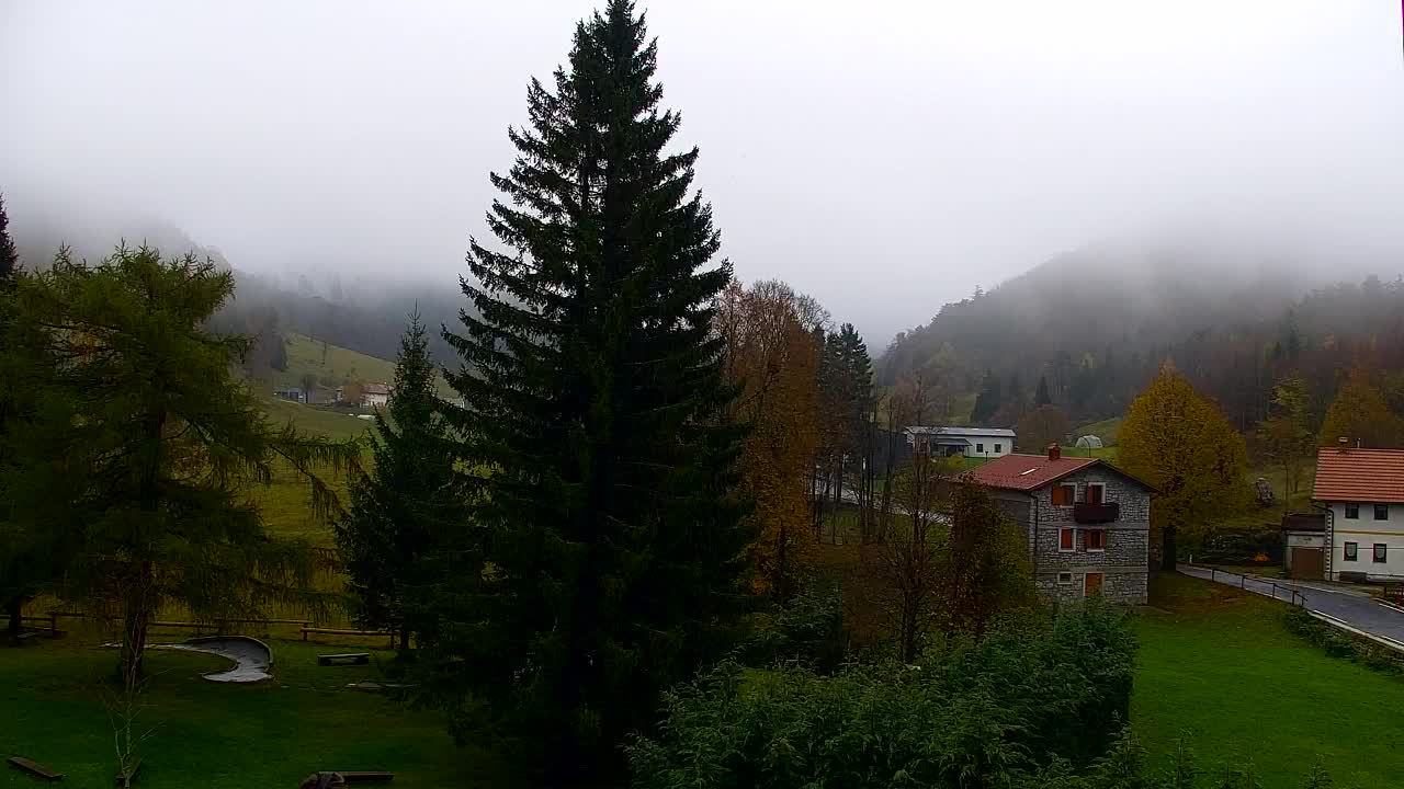 Lokve kamera – Naravne lepote Trnovskega gozda