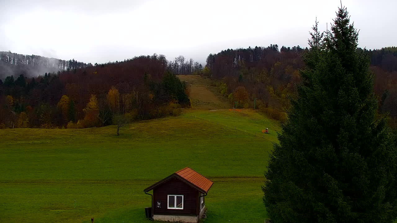 Webcam Lokve – The beauty of the Trnovo forest