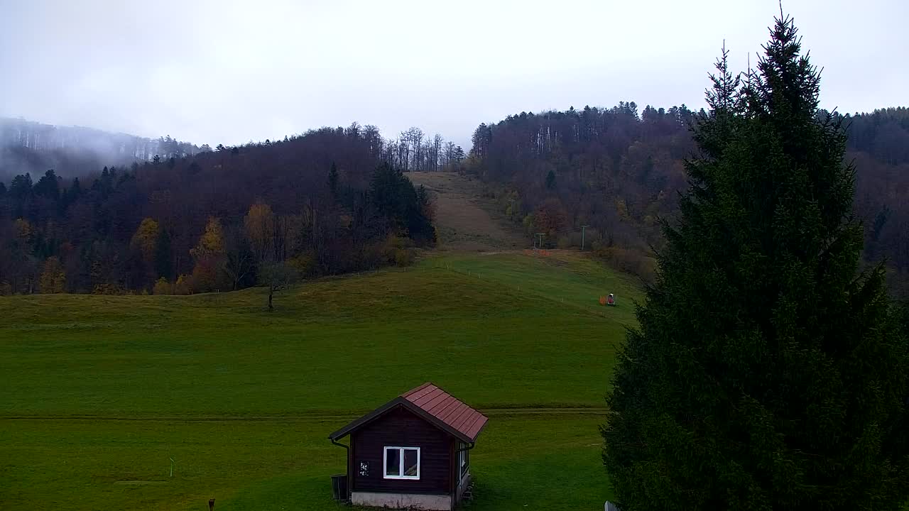 Camera en vivo Lokve – La belleza del bosque de Trnovo