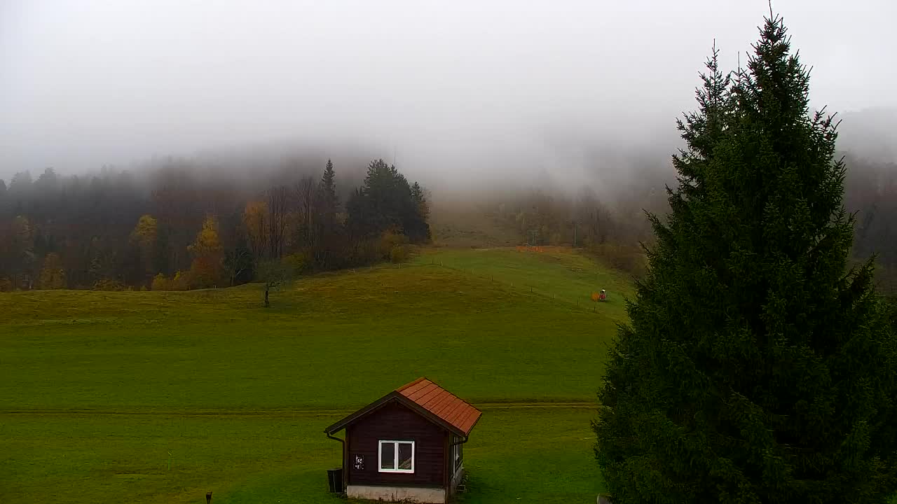 Webcam Lokve – La beauté de la forêt de Trnovo
