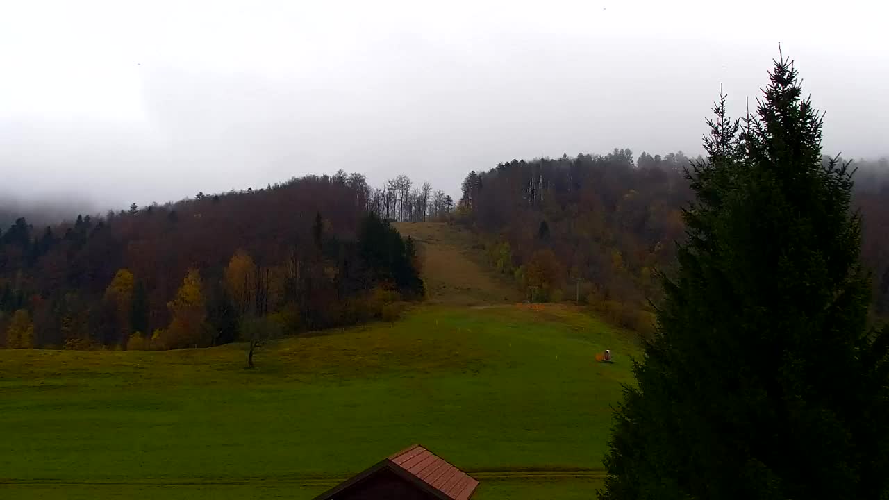 Webcam Lokve – Die Schönheit des Trnovo-Waldes