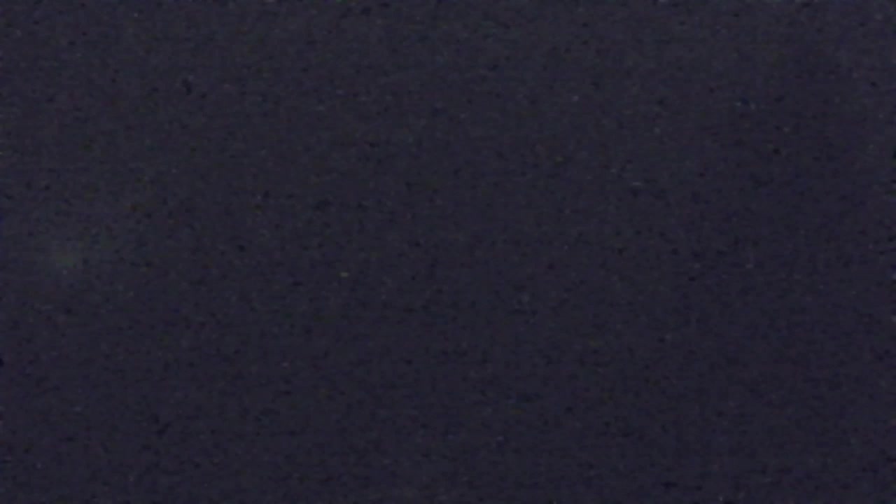 Webcam Lokve – La beauté de la forêt de Trnovo