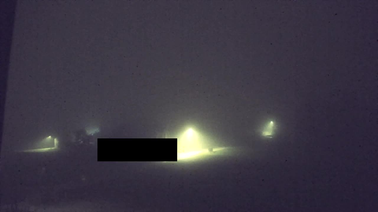 Camera en vivo Lokve – La belleza del bosque de Trnovo