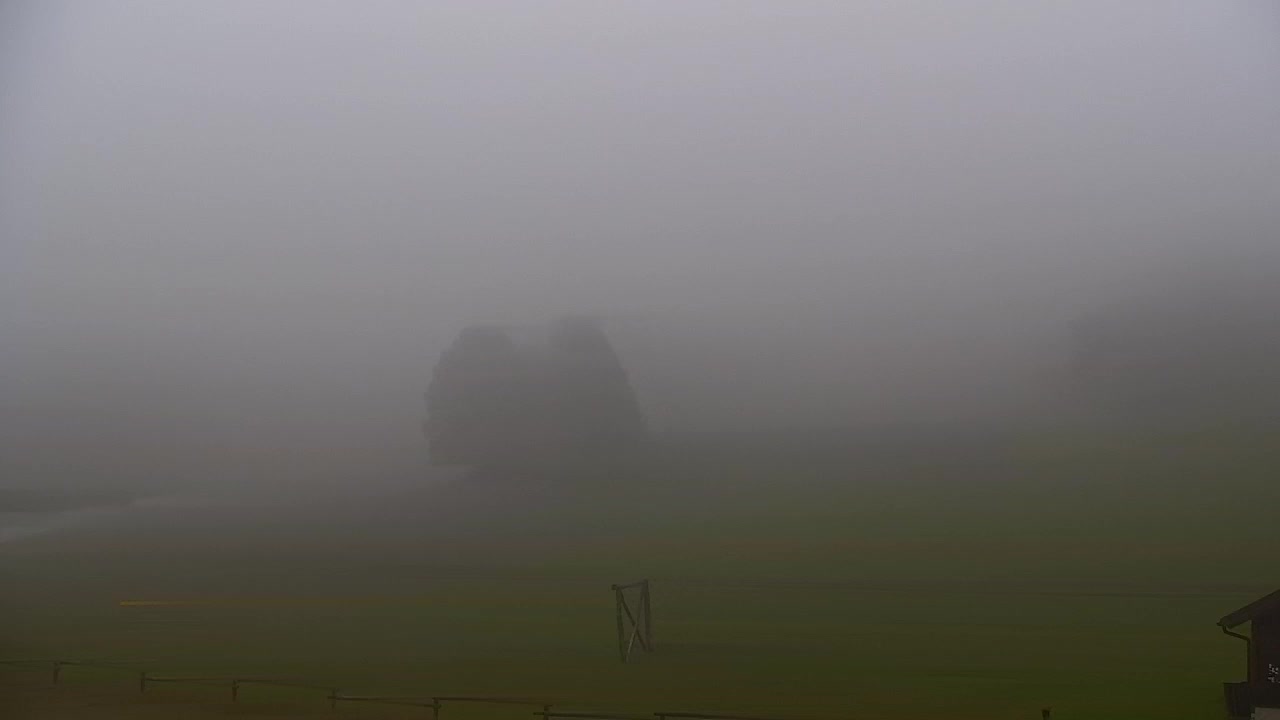 Webcam Loqua / Lokve – La bellezza della selva di Tarnova