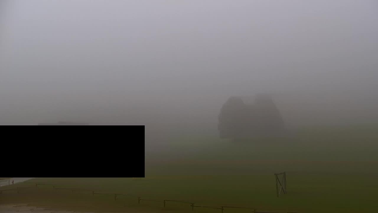 Webcam Lokve – La beauté de la forêt de Trnovo