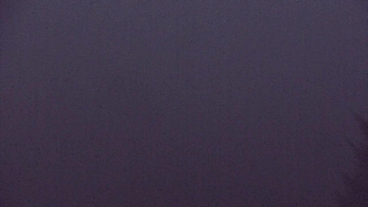 Webcam Loqua / Lokve – La bellezza della selva di Tarnova