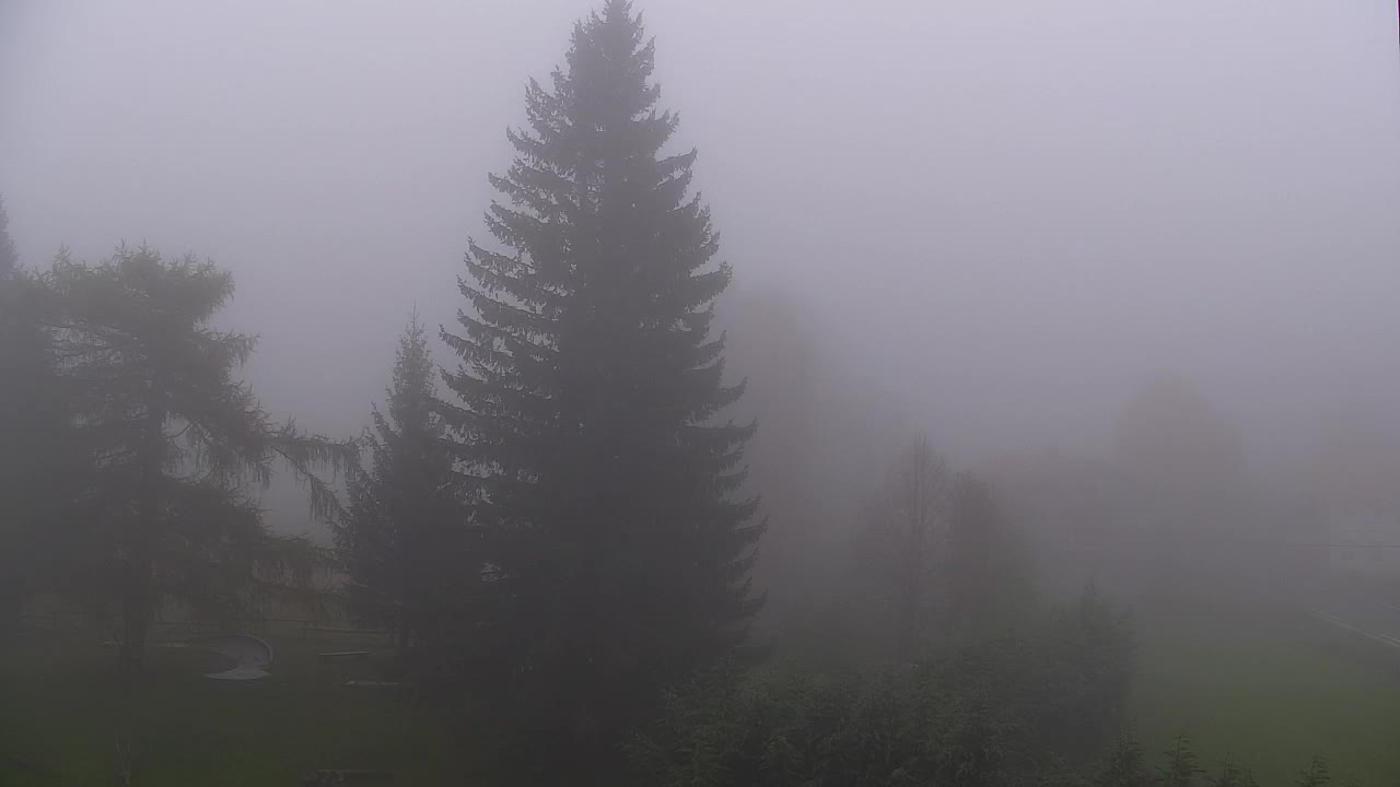 Webcam Loqua / Lokve – La bellezza della selva di Tarnova