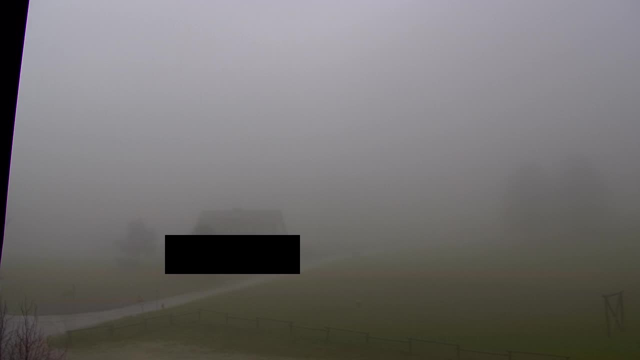 Lokve kamera – Naravne lepote Trnovskega gozda