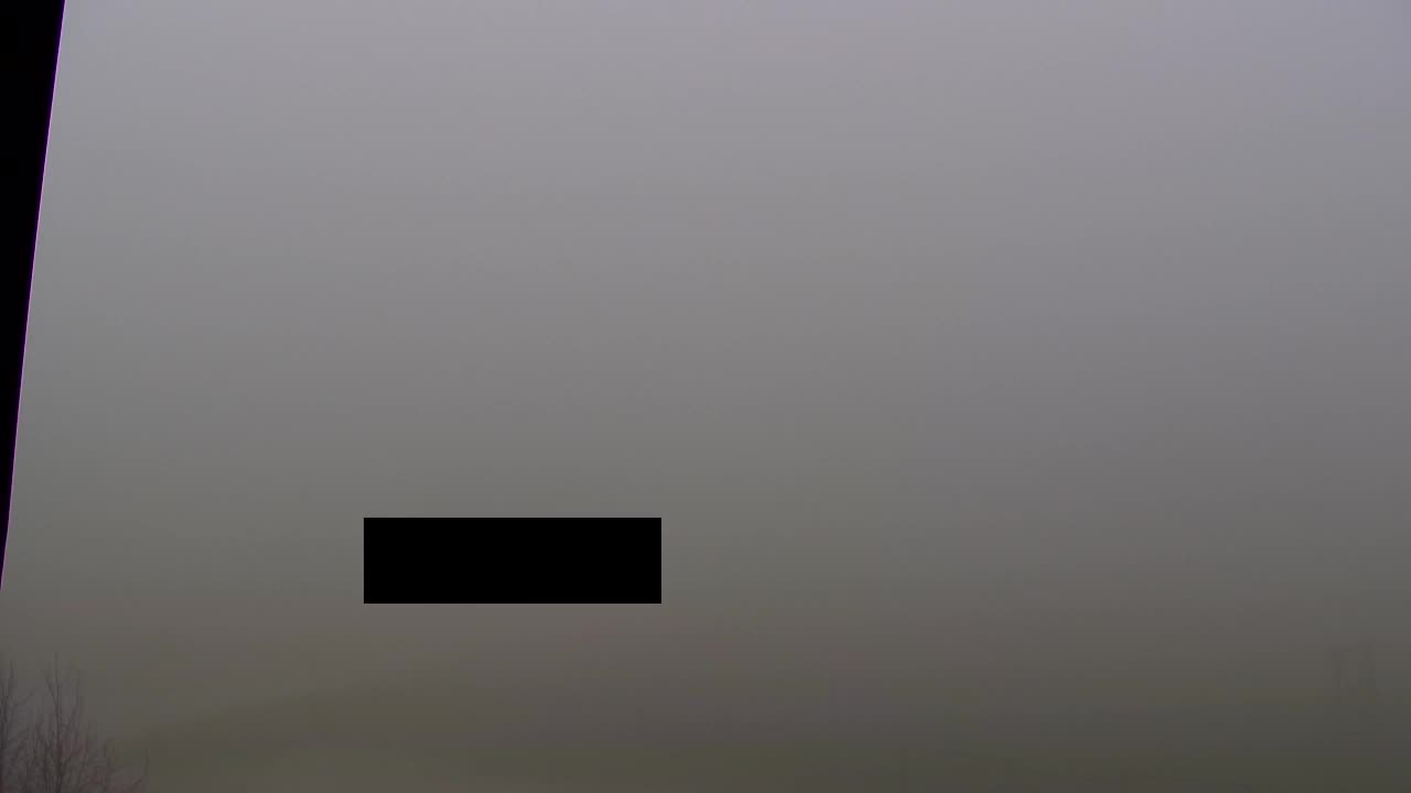 Webcam Loqua / Lokve – La bellezza della selva di Tarnova